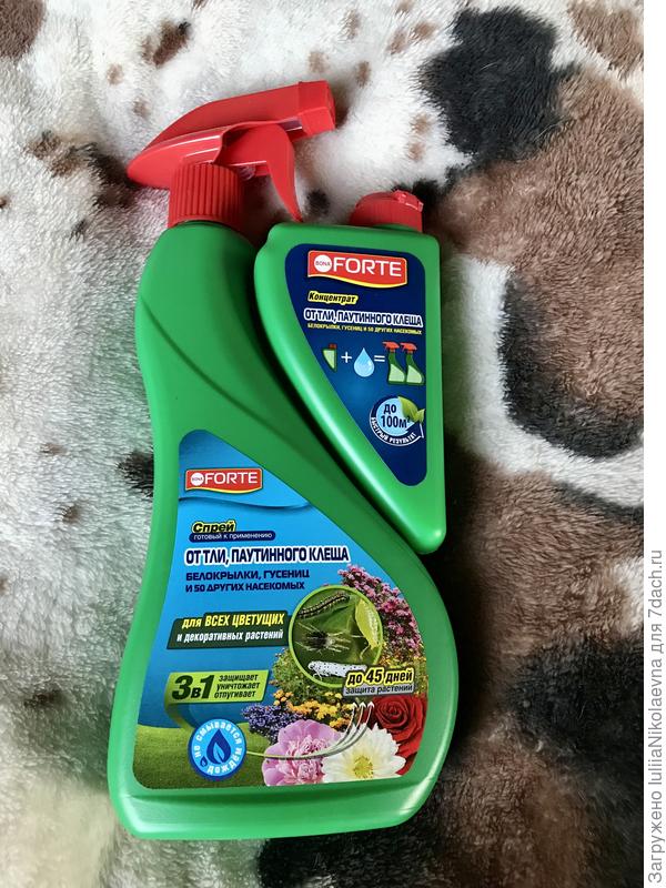 Посмотрите, какая красота! Отличный дизайн. Приятно в руки взять.