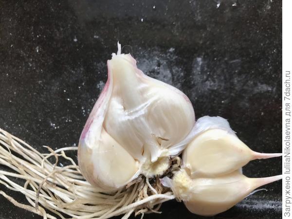 А этот, что на фото в вопросе, хоть и имеет отдельный чехольчик на каждый зубчик, Но шкурки эти толстенькие, мягкие. У него, как и у почти всех остальных палочка крепкая была, пальцем не продавливалась.