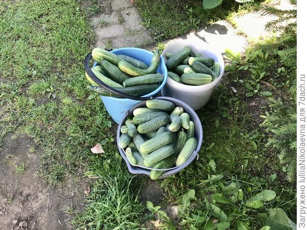 Сегодня зашла. И вот🤷‍♀️