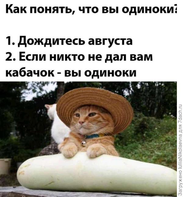 Людмила, пожалуйста 😂