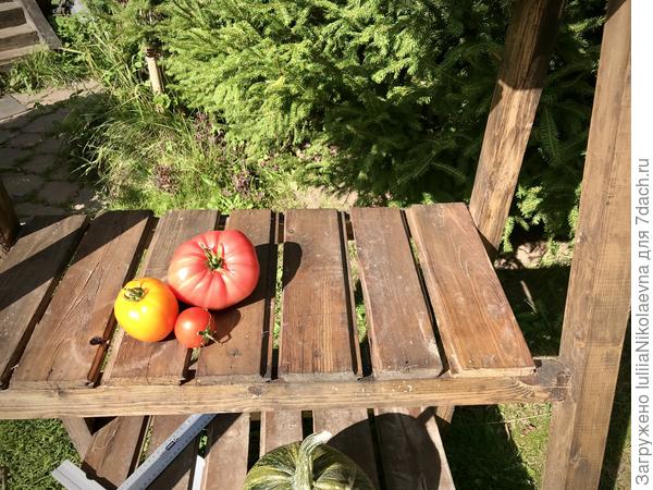 Из того, что было