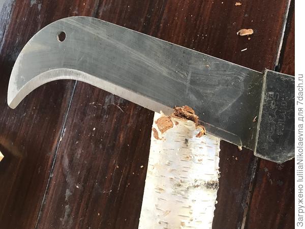 Свежая кора сходит очень легко. С высохшего дерева это сделать сложнее