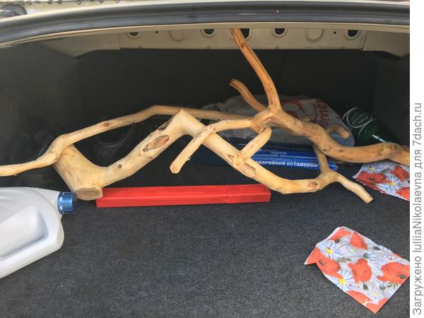 Вот они в багажнике. Все люди, как люди. Из поездок привозят магнитики, а я же свои сувениры из помойки наковыряла