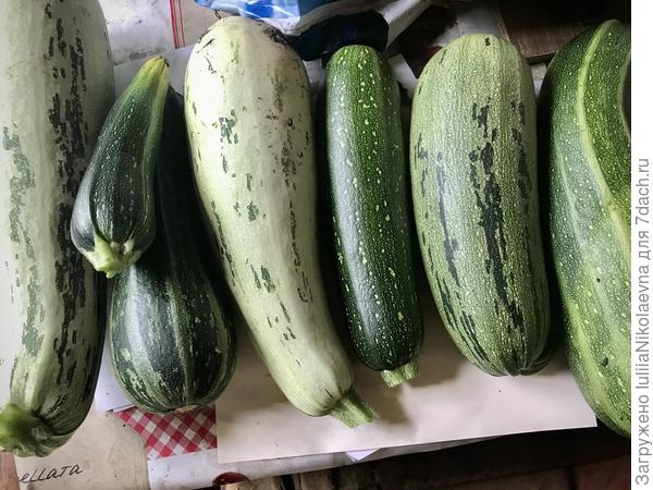 Фото от 2 августа