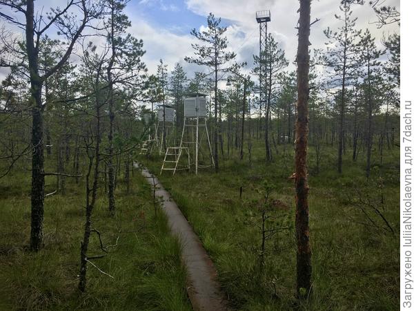 Довольно длинная тропа. Мимо странных штук, которые используют для изучения климата. Правда тут особо гулять нельзя, но если очень хочется, то можно 🙈