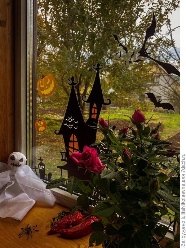 Другое окошко