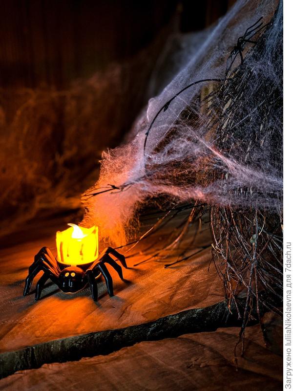 Паучок свечку тащит