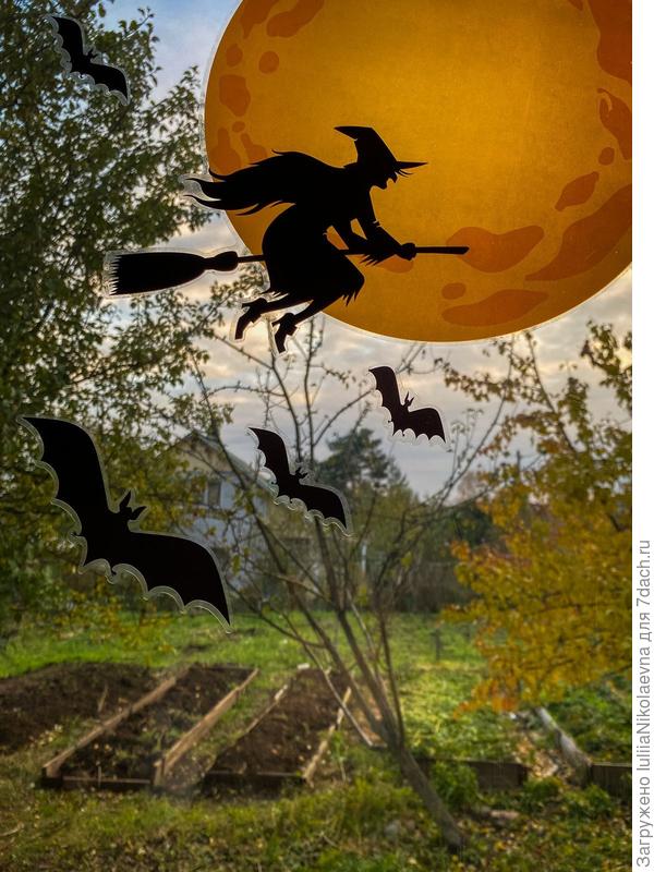 Из окна видно ведьму, летящую на шабаш