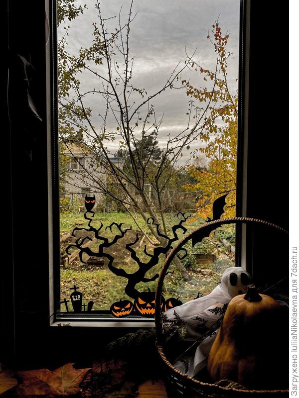 Вот такой вид из окна. В корзине тыква ещё прошлогоднего урожая.