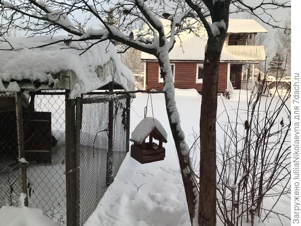 У маленькой кормушки мелочь тусуется: синички и воробьи. Но через окно не получается снять, чтобы их видно было