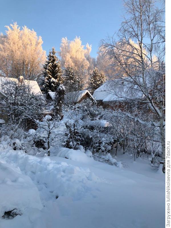 Зато вот какая красота! Холодно, голодно…но красиво 🤪