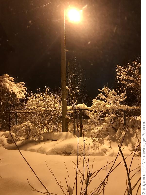 Вид из окна спальни в западное окошко