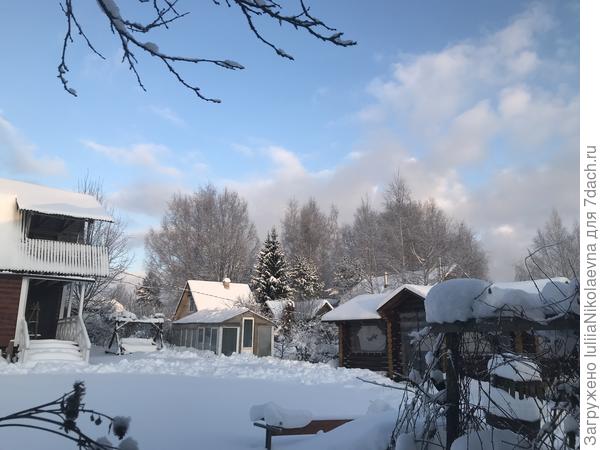 Это белое «поле» - наш газон, который спит сейчас под снегом