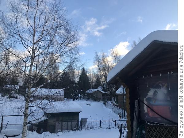 Ура! Весна в середине декабря🤪