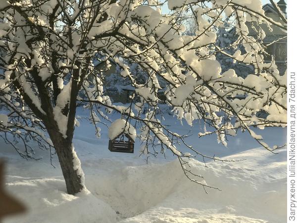 Эта побольше. Она напротив окна гостиной.