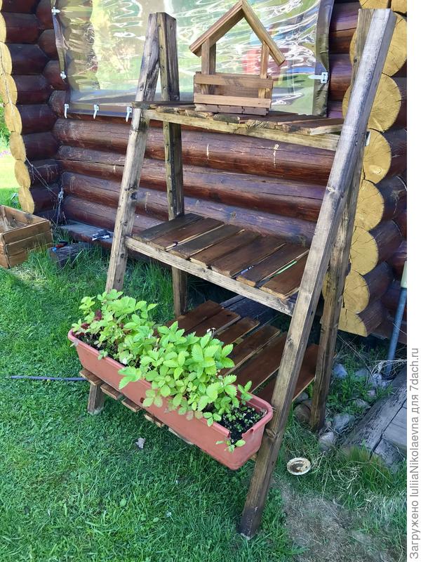 24 мая прошлого года.