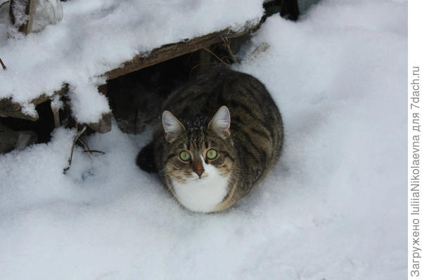 Родилась весной 2013 года