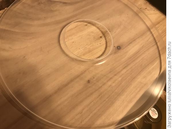 Поддон для пастилы прозрачный, пластиковый