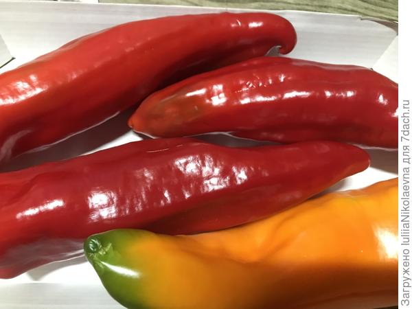 Палермо. Выращено в Московской области