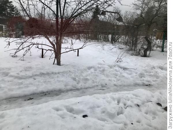 Нет сегодня солнышка! Ждите завтра. И так каждый день😂