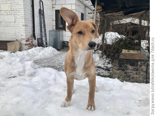 Вот такой локатор получается