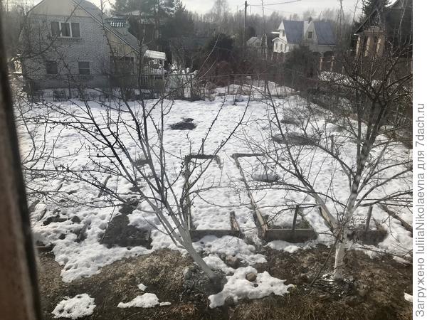 Вид у них из окна  теперь такой🙂