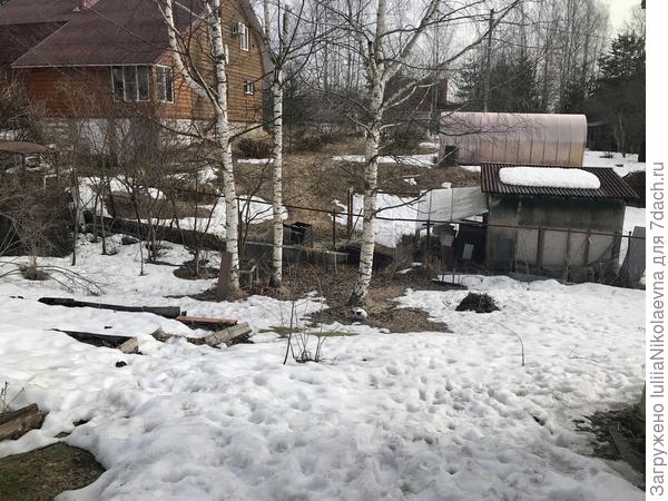 Вот мои доноры сока.