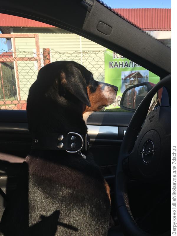 Лера, догоняй! Мы ещё утром выехали! Но едем не быстро, чтобы рассаду не растрясти.