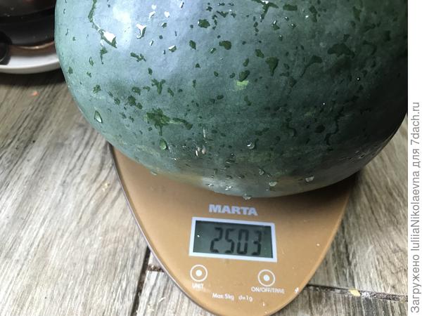 Прошлогодний