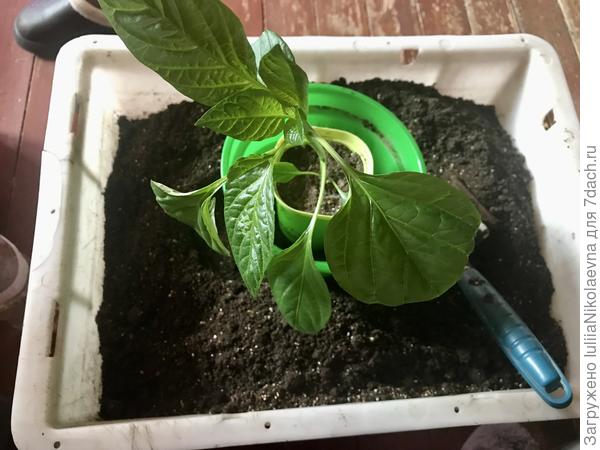 Переваливаем