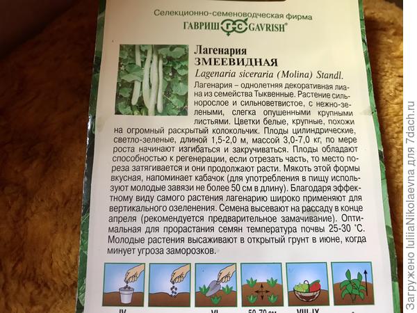 Вот. Написано -замачивать