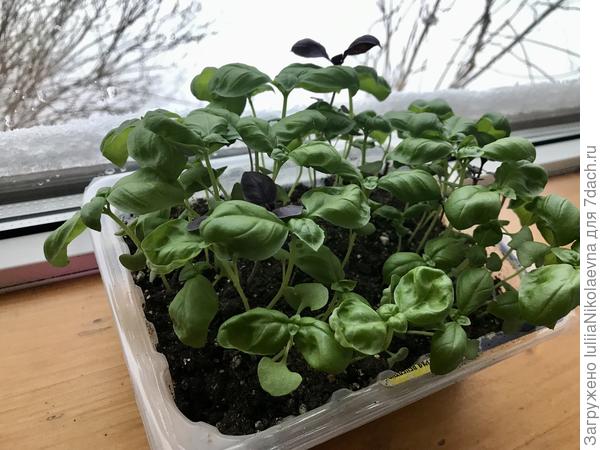 Это ассорти какое-то