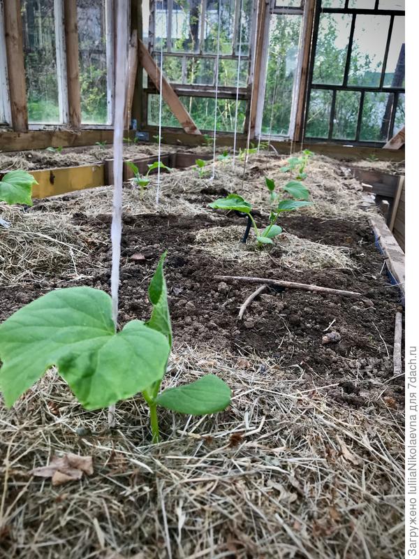 Вот как-то так