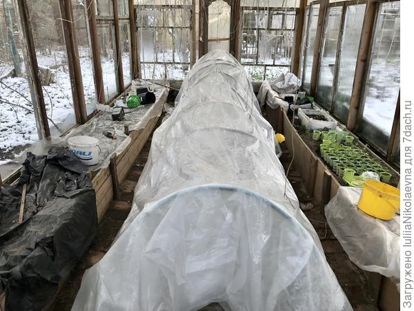 За бортом снег, а под укрытием в теплице огурцы и перцы