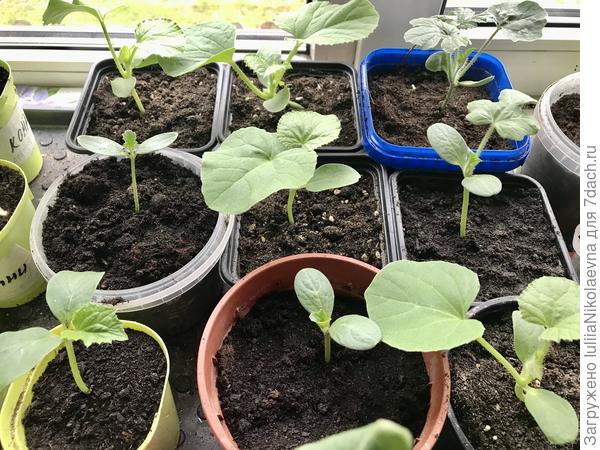 Эти в комнате