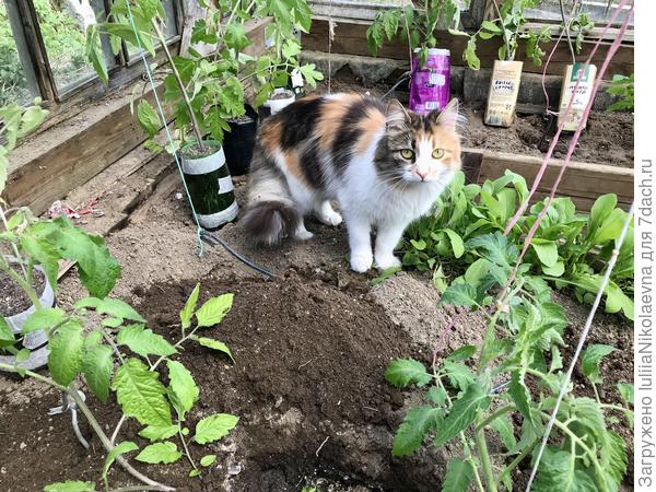 Помощница моя🙂