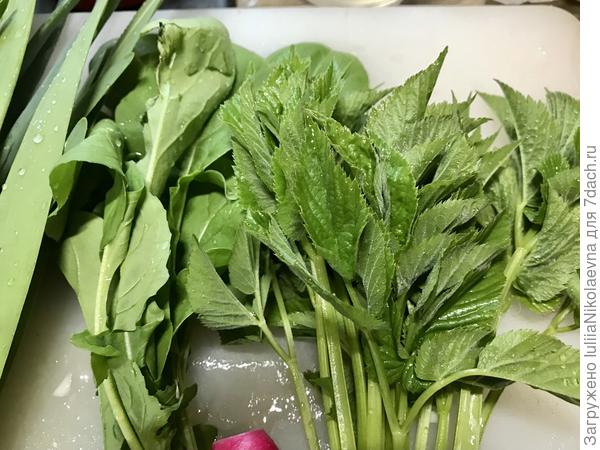 Набор для салата. Лук слизун, руккола и сныть