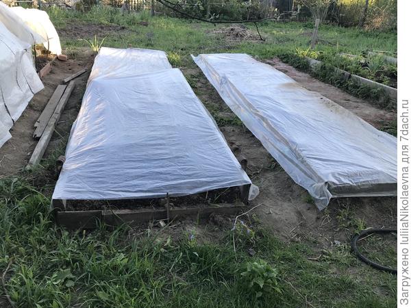 Затянули две грядки пленкой. Тут будут арбузы и дыни