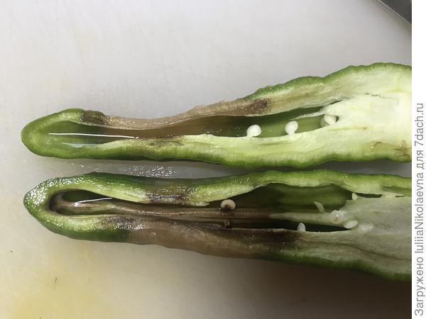 Когда разрезала, то внутри плода вода. Запаха гнилостного нет.