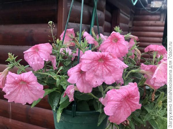 Из яркого только, то, что сама раскрасила своими трудами