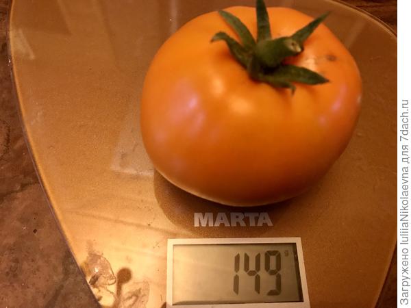 Первый средний по размеру, обычно покрупнее вырастают