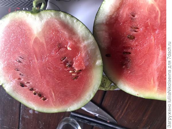 Сорт Шуга Беби