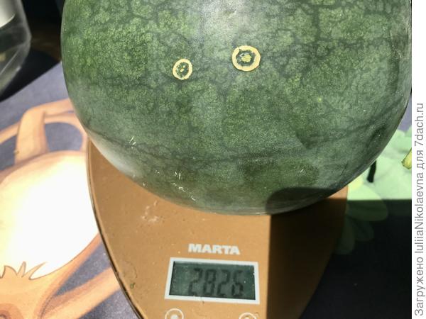 Почти три кг