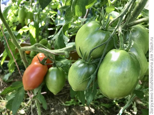 Кёнигсберг