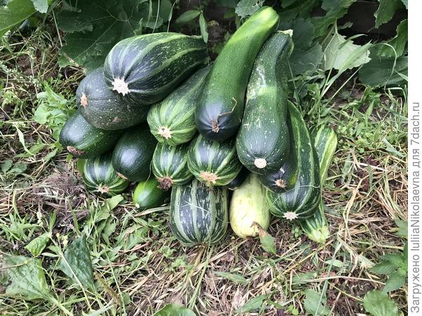 😳 Так ещё и здоровенные такие