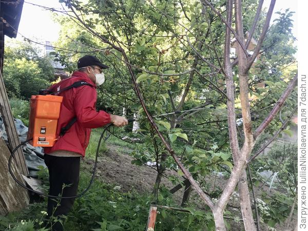 На эти коконы попросила мужа вылить максимальное количество раствора