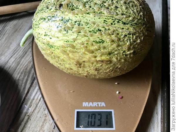 Вот эта треснула 19.07,24. Я тут же её сняла, пока она не загнила.  Но эта вполне хорошая была по вкусу. Чуть сладости не успела набрать.