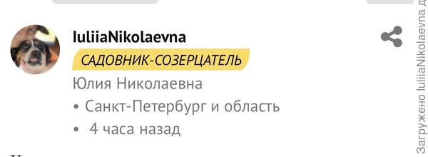 ….Ваша Юлия🙂