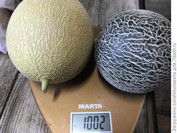 Давно на грядке лежали