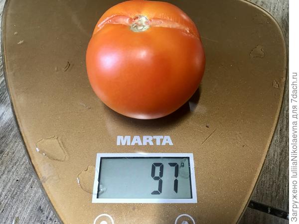 Перезрел на ветке